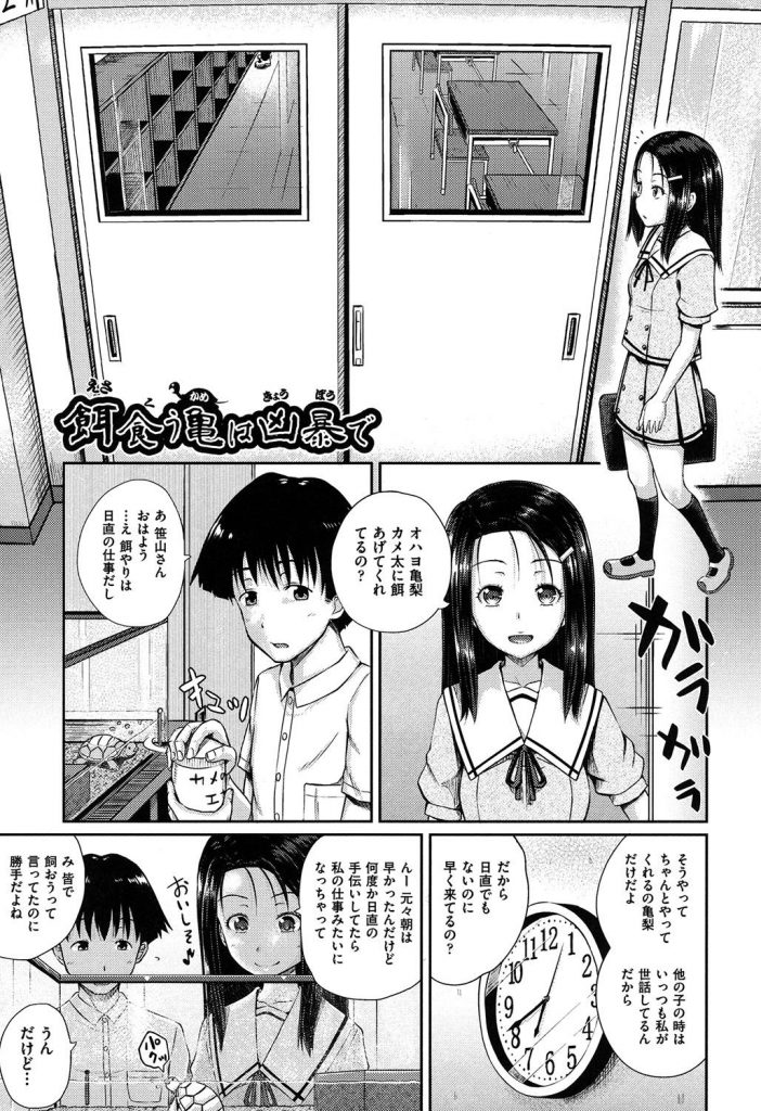 【エロ漫画】亀好きのJCがパッとしない男子を私好みにする為に包茎マラの亀頭に溜まったチンカスを舌技で綺麗にお掃除！