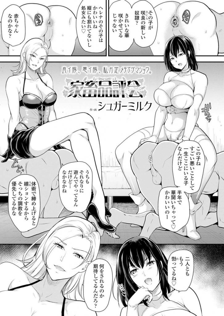 【エロ漫画】家畜の奴隷男をドS女王様二人がどちらが多く射精させるか競い合い赤ちゃんプレイや言葉責めしながらマゾ豚逆調教！