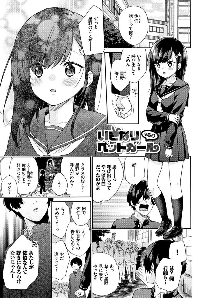 【エロ漫画】一度フった男子に猫耳とエロ下着姿で告白するJKがアナル尻尾を挿入させ本気さを示し乱入してきた後輩と３P！